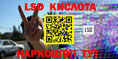 прущие грибы Будённовск