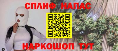 прущие грибы Будённовск