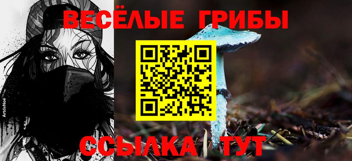 Ревда  Галлюциногенные грибы GOLDEN TEACHER  Вход с VPN 
