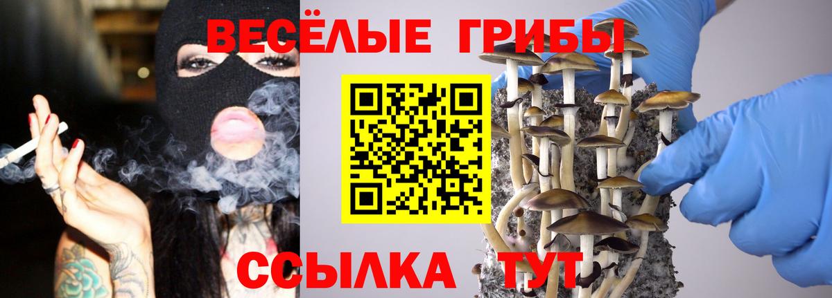 Псилоцибиновые грибы Psilocybine cubensis Ревда